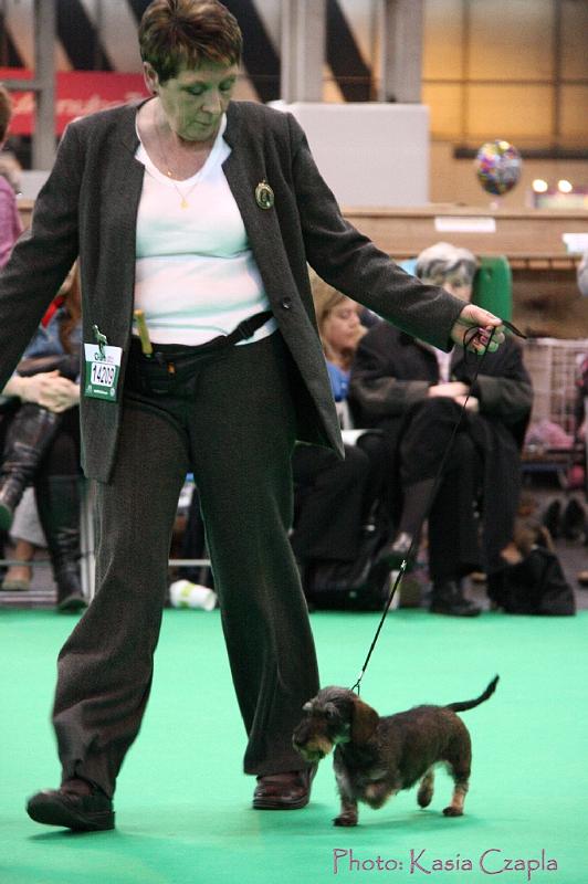 Crufts2011_2 1554.jpg